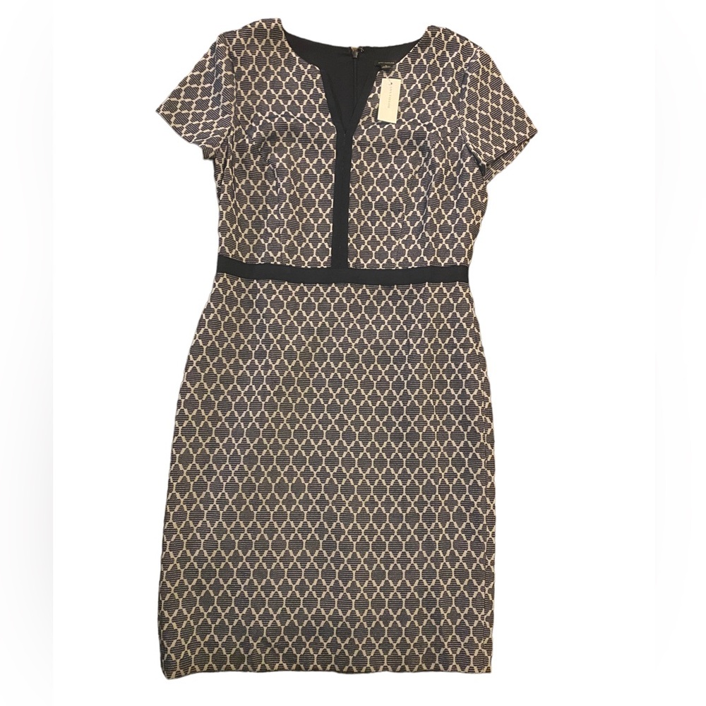 Ann Taylor Patterned Dress